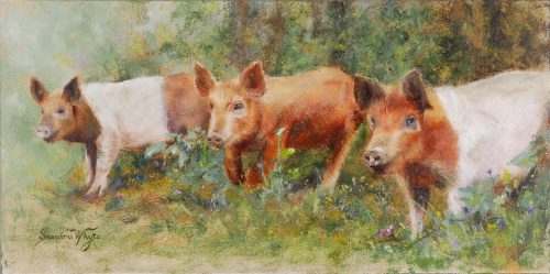 Bridge-To-Nowhere, Pigs